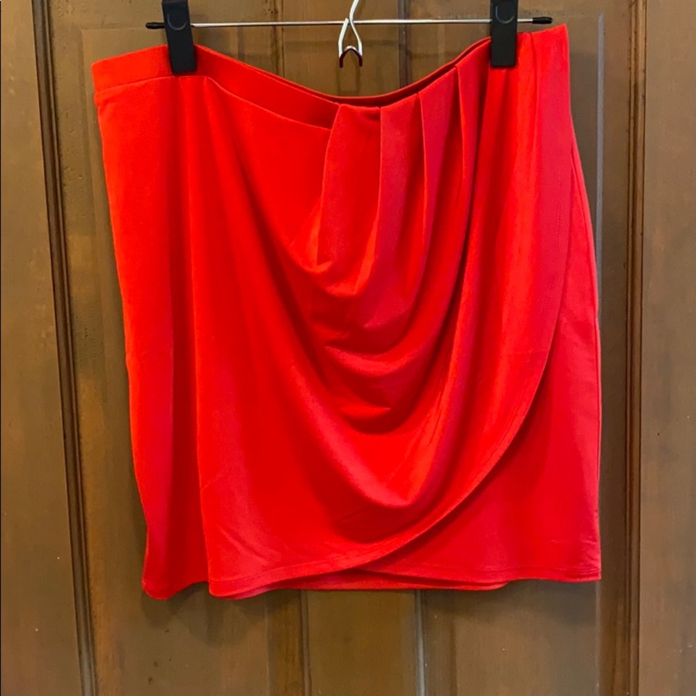 NWT Express skirt